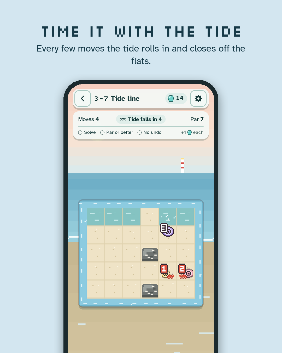 Time it with the tide: a puzzle board with tidal water, rocks and hermit crabs.